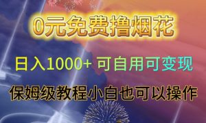 0元免费撸烟花日入1000+可自用可变现保姆级教程小白也可以操作【仅揭秘】-88共享