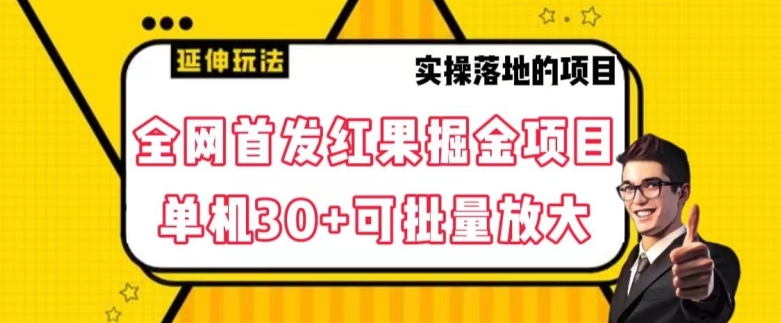 全网首发红果免费短剧掘金项目，单机30+可批量放大【揭秘】-88共享