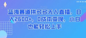 蓝海赛道拼多多无人直播,日入2600+,0成本变现,小白也能轻松上手【揭秘】-88共享