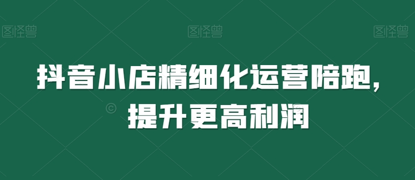抖音小店精细化运营陪跑，提升更高利润-88共享