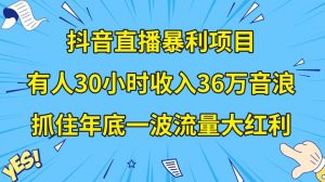 抖音直播暴利项目,有人30小时收入36万音浪,公司宣传片年会视频制作,抓住年底一波流量大红利【揭秘】-88共享