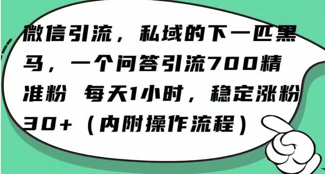 怎么搞精准创业粉？微信新赛道，每天一小时，利用Ai一个问答日引100精准粉-88共享