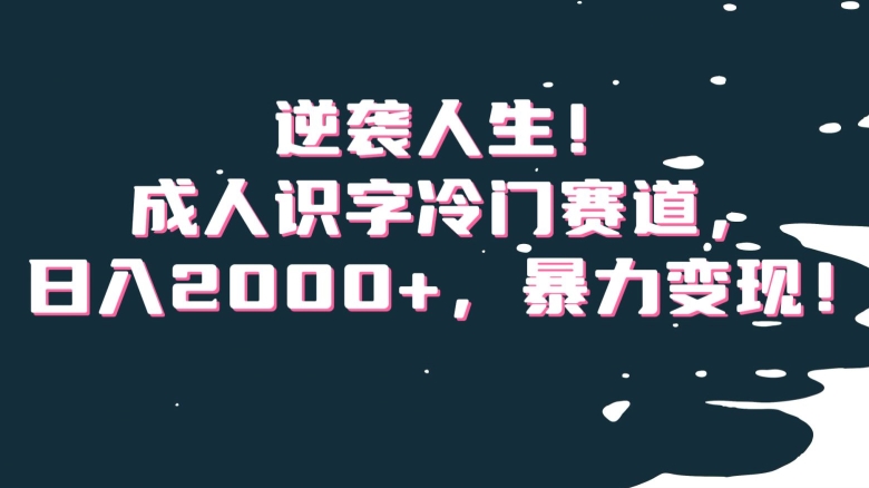 逆袭人生！成人识字冷门赛道，日入2000+，暴力变现！【揭秘】-88共享