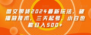 图文带货2024最新玩法，破播放技术，三天起号，小白也能日入500+【揭秘】-88共享