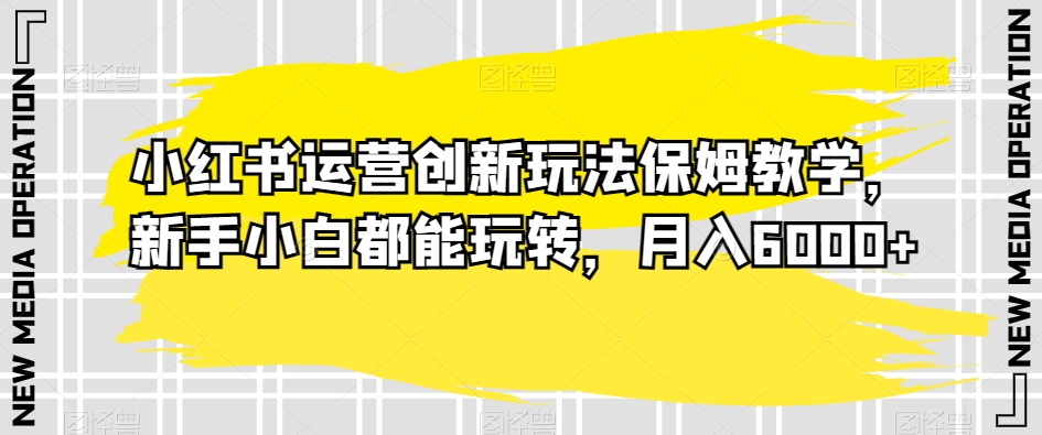 小红书运营创新玩法保姆教学，新手小白都能玩转，月入6000+【揭秘】-88共享