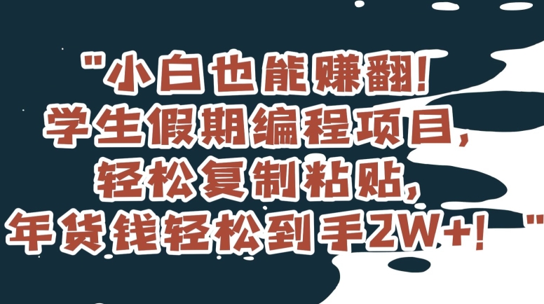 小白也能赚翻！学生假期编程项目，轻松复制粘贴，年货钱轻松到手2W+【揭秘】-88共享