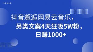抖音邂逅网易云音乐，另类文案4天狂吸5W粉，日赚1000+【揭秘】-88共享