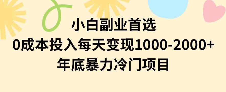 小白副业首选，0成本投入，每天变现1000-2000年底暴力冷门项目【揭秘】-88共享