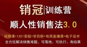 爆款!销冠训练营3.0之顺人性销售法,全方位解决销售难题、可落地、可执行、有结果-88共享