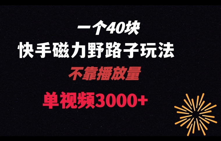 一个40块，快手联合美团磁力新玩法，无视机制野路子玩法，单视频收益4位数【揭秘】-88共享