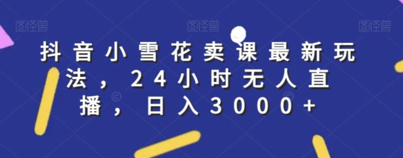 抖音小雪花卖课最新玩法，24小时无人直播，日入3000+【揭秘】-88共享
