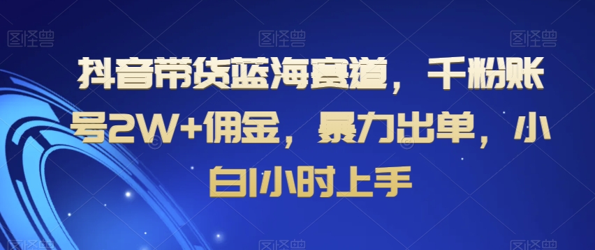 抖音带货蓝海赛道，千粉账号2W+佣金，暴力出单，小白1小时上手【揭秘】-88共享