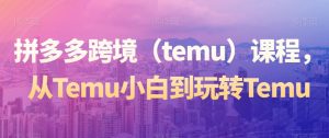 拼多多跨境（temu）课程，从Temu小白到玩转Temu-88共享