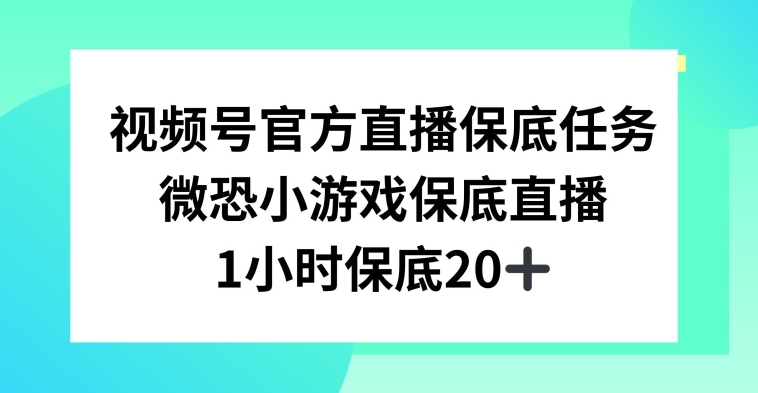 视频号直播任务，微恐小游戏，1小时20+【揭秘】-88共享