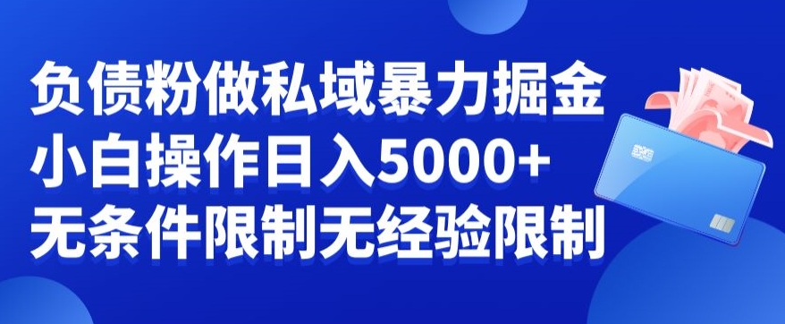 负债粉私域暴力掘金，小白操作入5000，无经验限制，无条件限制【揭秘】-88共享