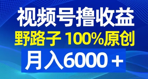 视频号野路子撸收益，100%原创，条条爆款，月入6000＋【揭秘】-88共享