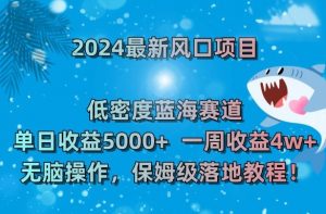 2024最新风口项目,低密度蓝海赛道,单日收益5000+,一周收益4w+!【揭秘】-88共享