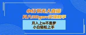 小红书无人直播月入30gmv实操教学,月入上w不是梦,小白轻松上手【揭秘】-88共享