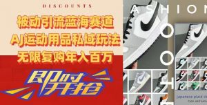 被动引流蓝海赛道，AJ运动用品私域玩法，无限复购年入百万【揭秘】-88共享