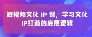 短视频文化IP课,学习文化IP打造的底层逻辑-88共享