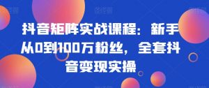 抖音矩阵实战课程:新手从0到100万粉丝,全套抖音变现实操-88共享