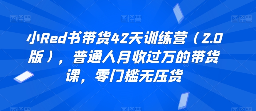 小Red书带货42天训练营（2.0版），普通人月收过万的带货课，零门槛无压货-88共享