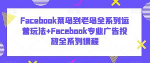 Facebook菜鸟到老鸟全系列运营玩法+Facebook专业广告投放全系列课程-88共享