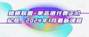 臻曦联盟-单品微付费正价起号，2024年1月最新课程-88共享