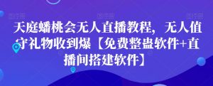 天庭蟠桃会无人直播教程，无人值守礼物收到爆【免费整蛊软件+直播间搭建软件】-88共享