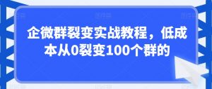 企微群裂变实战教程,低成本从0裂变100个群的-88共享