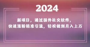 2024新项目，通过国外社交软件，快速涨粉精准引流，轻松做到月入上万【揭秘】-88共享