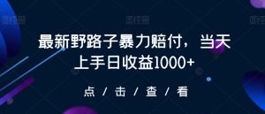 最新野路子暴力赔付，当天上手日收益1000+【仅揭秘】-88共享