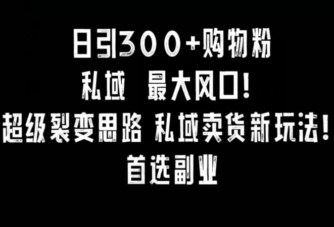 日引300+购物粉，超级裂变思路，私域卖货新玩法，小红书首选副业【揭秘】-88共享
