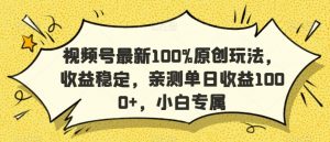 视频号最新100%原创玩法，收益稳定，亲测单日收益1000+，小白专属【揭秘】-88共享