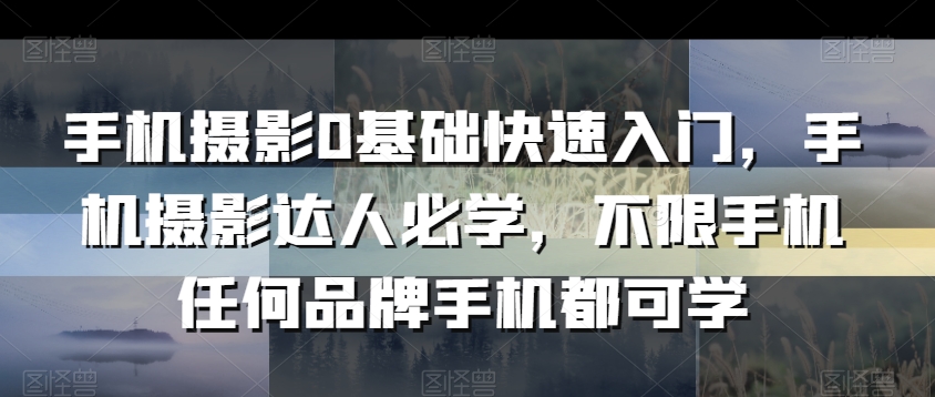 手机摄影0基础快速入门，手机摄影达人必学，不限手机任何品牌手机都可学-88共享