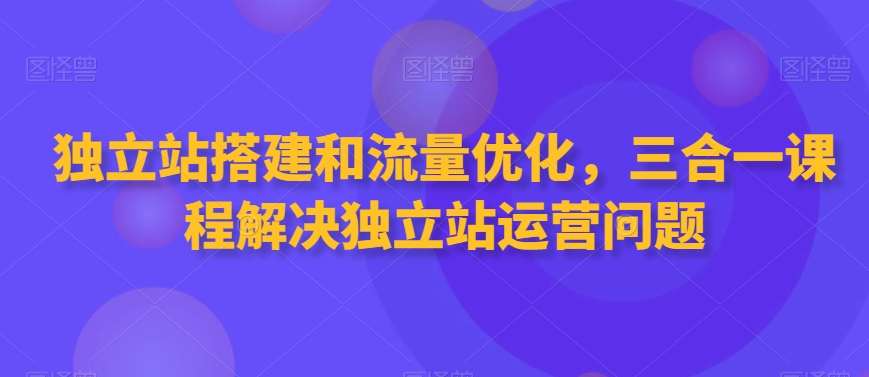 独立站搭建和流量优化，三合一课程解决独立站运营问题-88共享