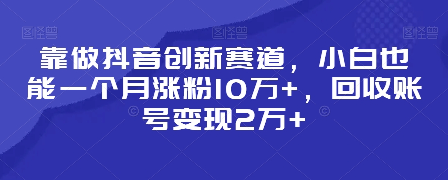 靠做抖音创新赛道，小白也能一个月涨粉10万+，回收账号变现2万+【揭秘】-88共享