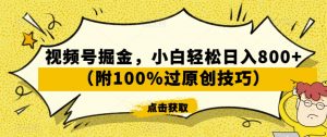 视频号掘金,小白轻松日入800+(附100%过原创技巧)【揭秘】-88共享