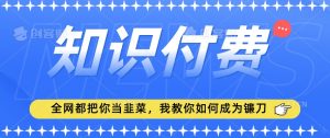 2024最新知识付费项目,小白也能轻松入局,全网都在教你做项目,我教你做镰刀【揭秘】-88共享