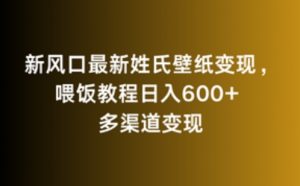 新风口最新姓氏壁纸变现,喂饭教程日入600+【揭秘】-88共享