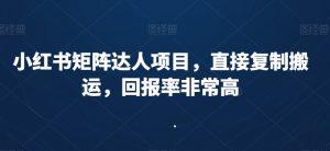 小红书矩阵达人项目,直接复制搬运,回报率非常高-88共享