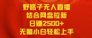 野路子无人直播结合网盘拉新,日赚2500+,小白无脑轻松上手【揭秘】-88共享