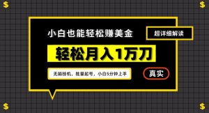 谷歌看广告撸美金2.0,无脑挂机,多号操作,月入1万刀【揭秘】-88共享