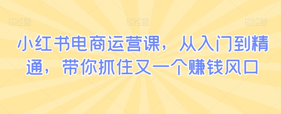 小红书电商运营课，从入门到精通，带你抓住又一个赚钱风口-88共享