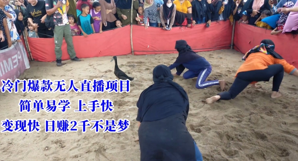 冷门爆款无人直播项目，简单易学上手快，变现快日赚2千不是梦【揭秘】-88共享