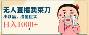 无人冷门品直播新玩法，通过卖菜刀日入1000+【揭秘】-88共享