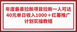 年度最豪拉新项目拉新一人可达40元单日收入1000+红薯推广计划实操教程【揭秘】-88共享