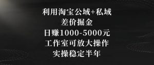 利用淘宝公域+私域差价掘金，日赚1000-5000元，工作室可放大操作，实操稳定半年【揭秘】-88共享