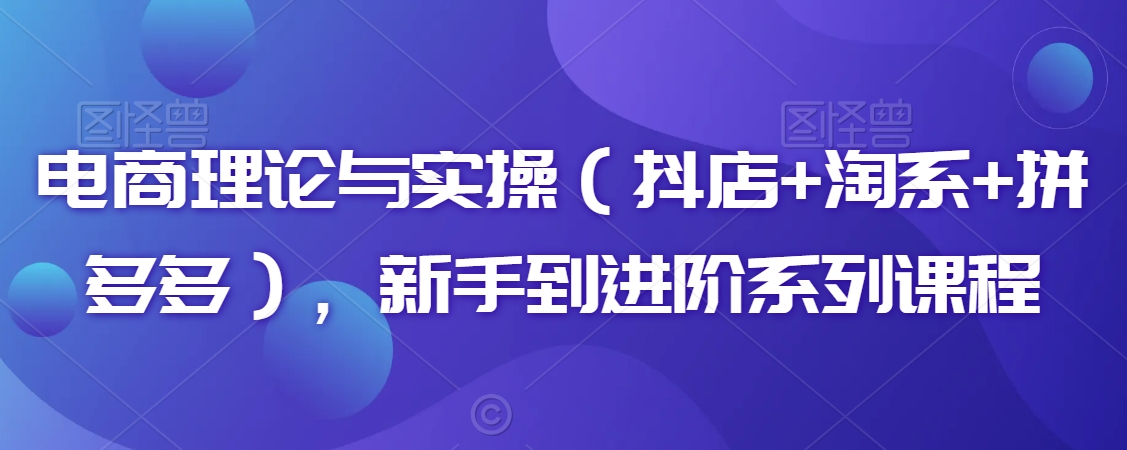 电商理论与实操（抖店+淘系+拼多多），新手到进阶系列课程-88共享