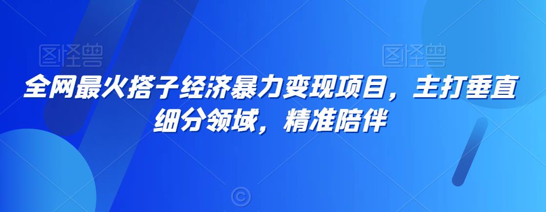 全网最火搭子经济暴力变现项目，主打垂直细分领域，精准陪伴【揭秘】-88共享